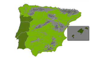 Location on map of Spain