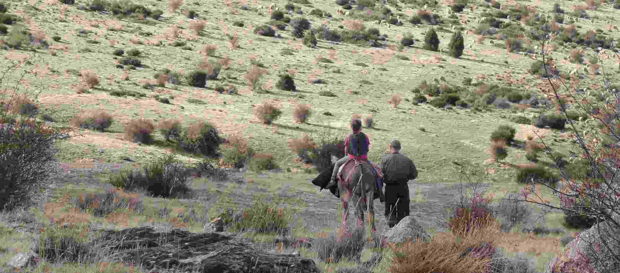 donkey trekking in central spain landscape