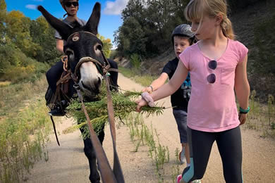 two children walking with a donkey