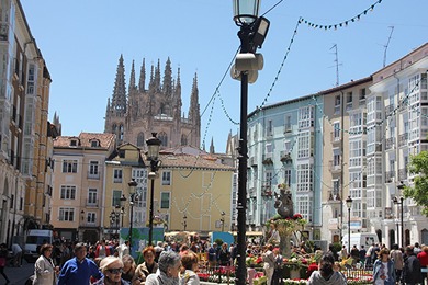 Burgos