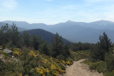 lovely trail in the mountains in segovia